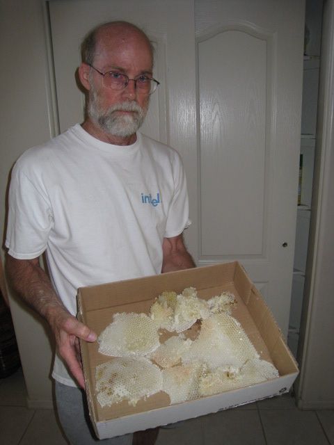 Daryl holding the honeycomb